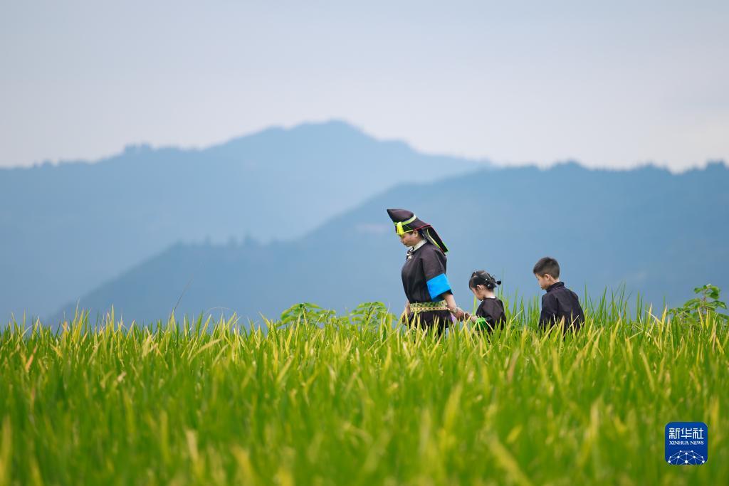 mg游戏官网